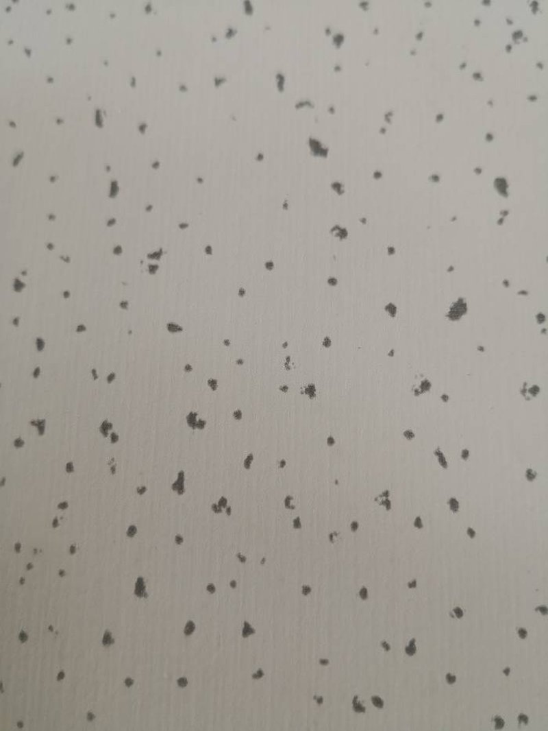 ฝ้าเพดานทนไฟ